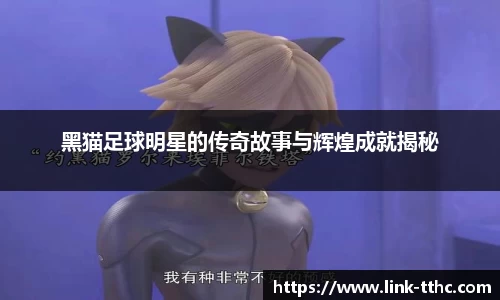黑猫足球明星的传奇故事与辉煌成就揭秘